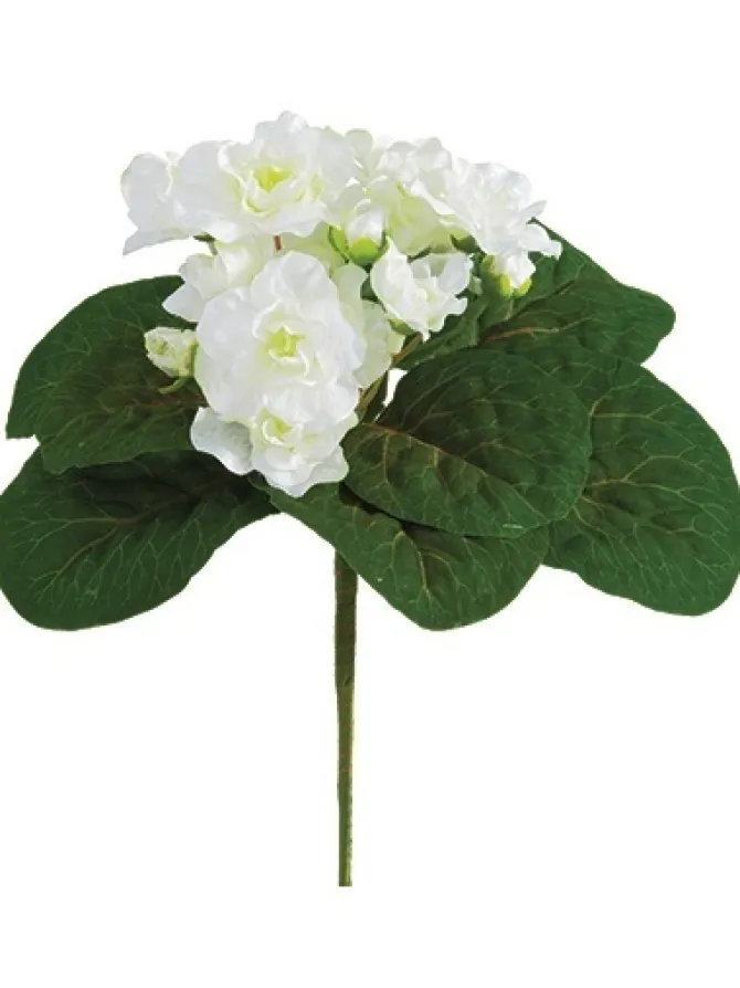 african_violet_bush__in_w_0.webp African Violet Bush 8 in. White