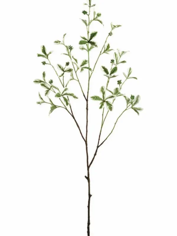 Almond Tree Branch 43 in.