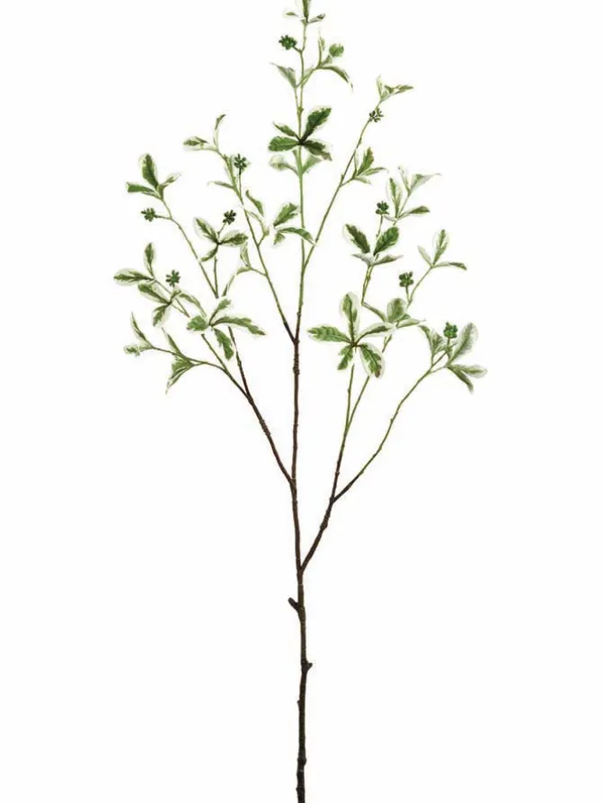 almond_tree_branch__in_0.webp Almond Tree Branch 43 in.