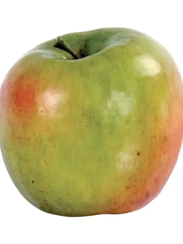 Apple Golden Delicious 3 in. Green/Mauve