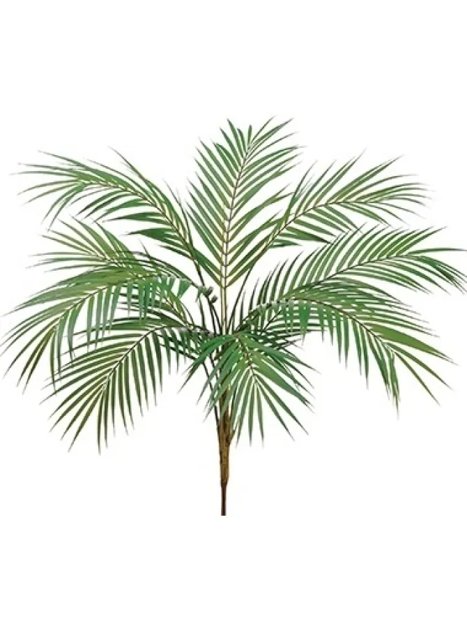 areca_palm_plant__in_0-2.webp Areca Palm Plant 38 in.