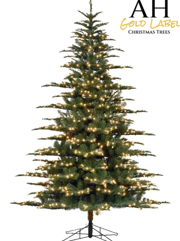 Asheville Noble LED 12 FT