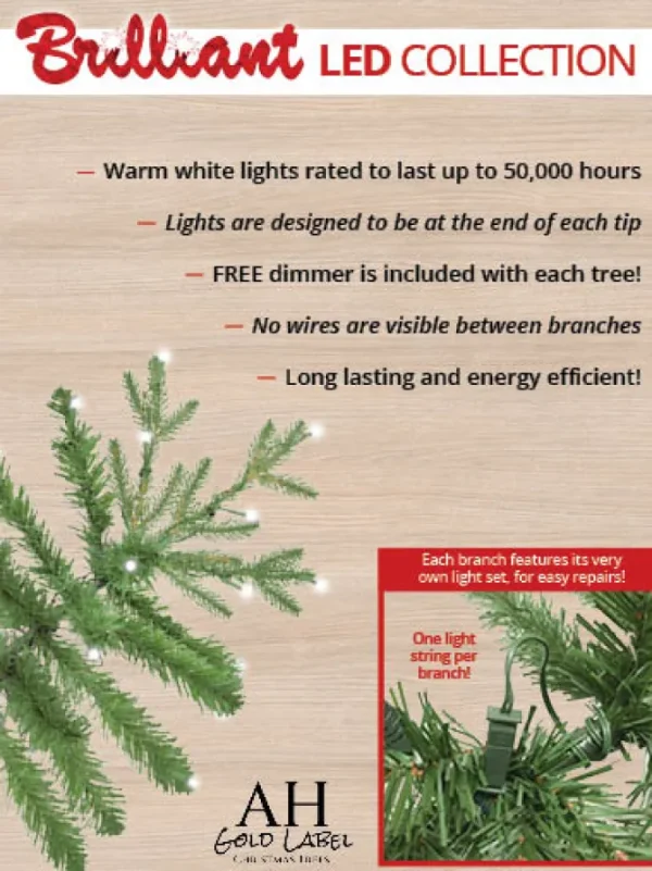 Asheville Noble LED 9 FT