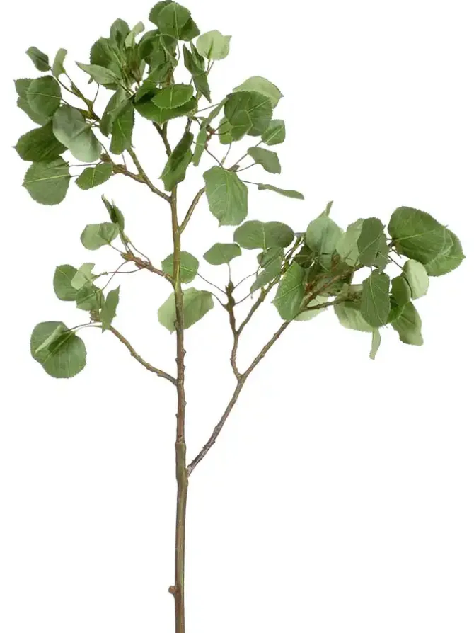 aspen_spray__in_green_0.webp Aspen Spray 42 in. Green