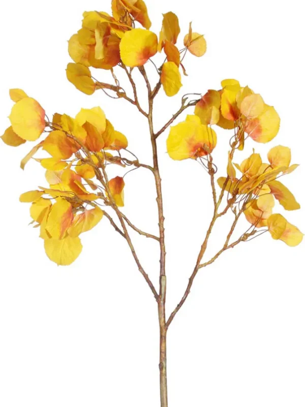 Aspen Spray 42 in. Yellow