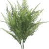 Australia Fern Bush 15 in.