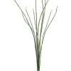 Bamboo Bundle 37 in. Green