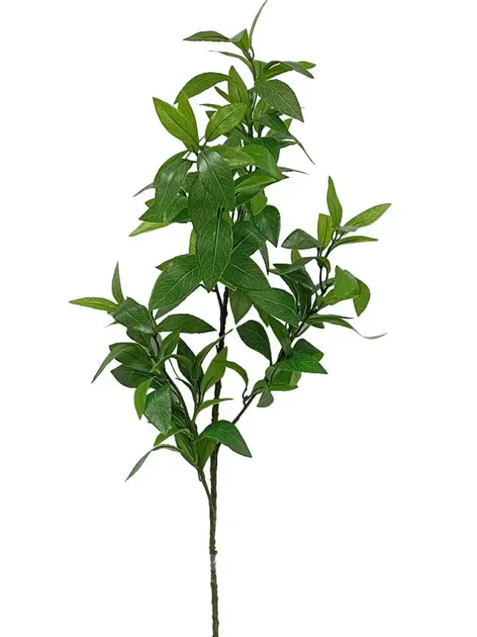 bay_leaf__in_0.webp Bay Leaf 37in.