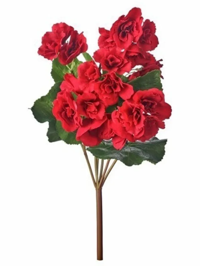 begonia__in_red_0.webp Begonia 17 in. Red
