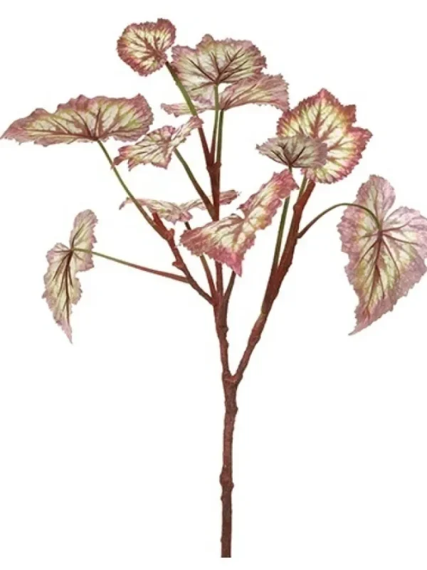 Begonia Leaf 23 in. Burgundy / Green