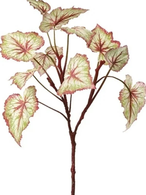 Begonia Leaf 23 in. Green / Burgundy