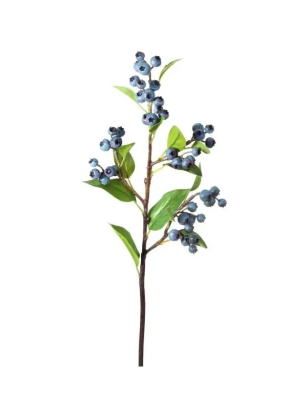Blueberry Spray