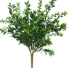 Boxwood Bush Mini 12 in. Green