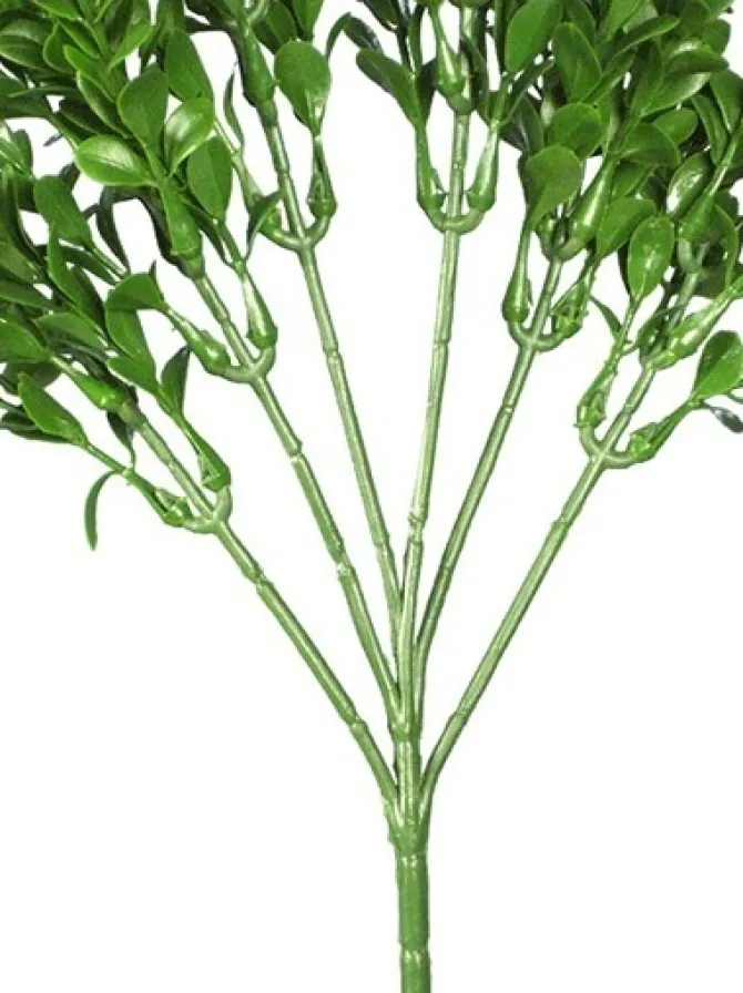 boxwood_spray__in_green_1.webp Boxwood Spray 18.5 in. Green