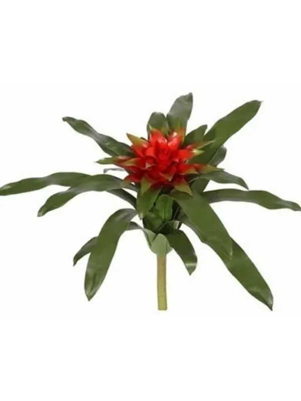 Bromeliad 15 in.