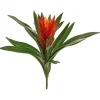 Bromeliad 16 in. Burgundy