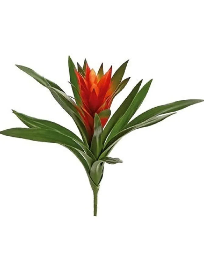 bromeliad__in_burgundy_0-1.webp Bromeliad 16 in. Burgundy
