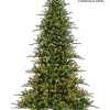 Bryce Canyon LED 10 FT