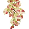 Caladium Hanging Bush 21 in. Pink