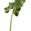 Calla Leaf Giant 51.5 in. Green