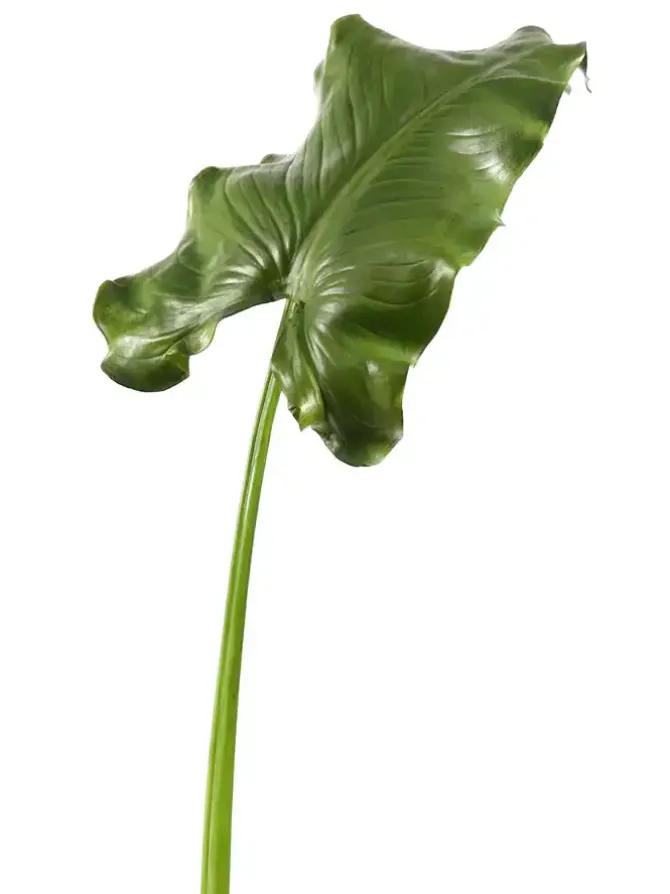 calla_leaf_giant__in_gree_0.webp Calla Leaf Giant 51.5 in. Green