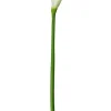 Calla Lily 29.5 in. White
