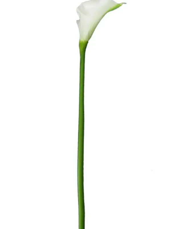 Calla Lily 29.5 in. White