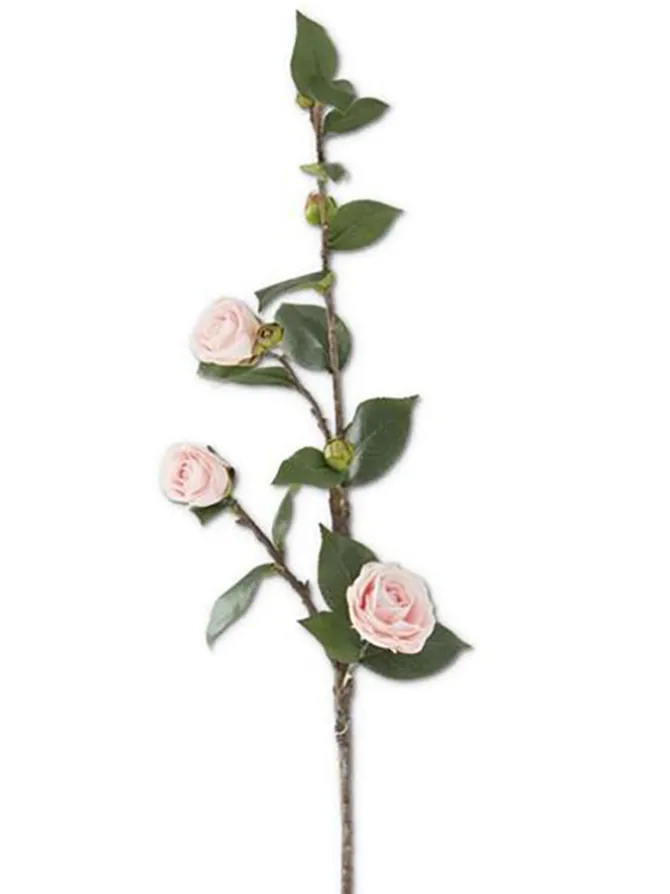 camellia_stem__in_pink_0.webp Camellia Stem 30 in. Pink