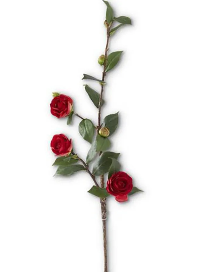 camellia_stem__in_red_0.webp Camellia Stem 30 in. Red