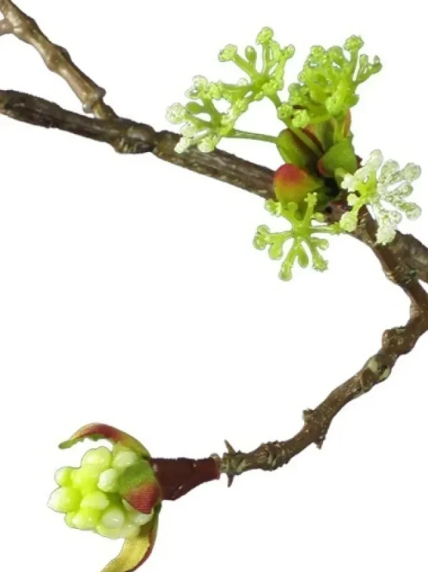 Cherry Blossom Budding Branch 42 in. Cream / Green