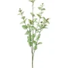 Cider Gun Spray 35 in. Sage / Green