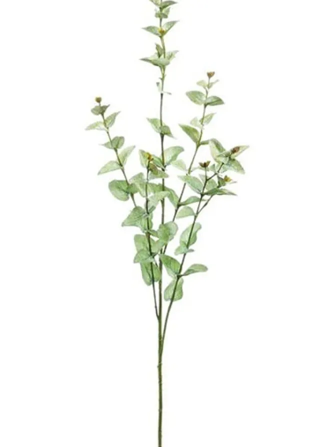 cider_gun_spray__in_sage__0.webp Cider Gun Spray 35 in. Sage / Green