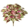 Coleus Bush 18 in. Green / Purple