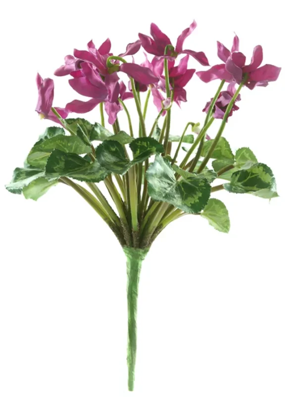 Cyclamen Stem 11 in. Fuchsia
