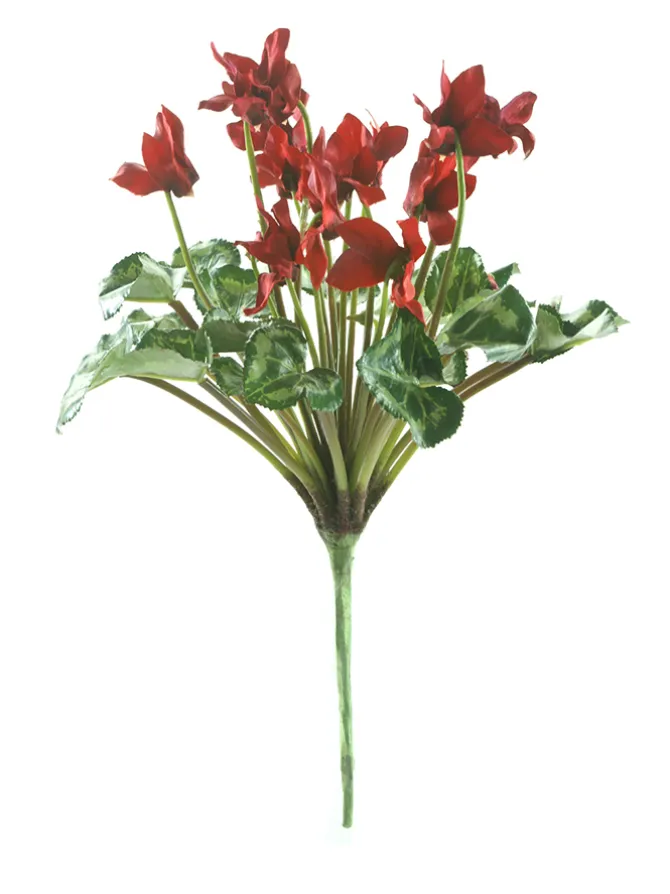 cyclamen_stem__in_red_0.webp Cyclamen Stem 11 in. Red