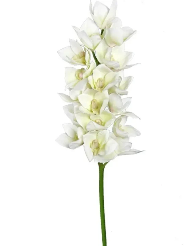 Cymbidium Orchid 41 in. White
