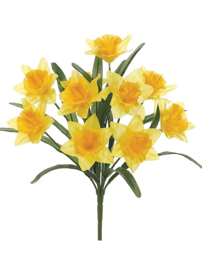 daffodil_bush__inyellow_0.webp Daffodil Bush 18.5 in.Yellow
