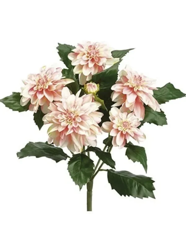 Dahlia Bush 19.5 in. Pink / Cream