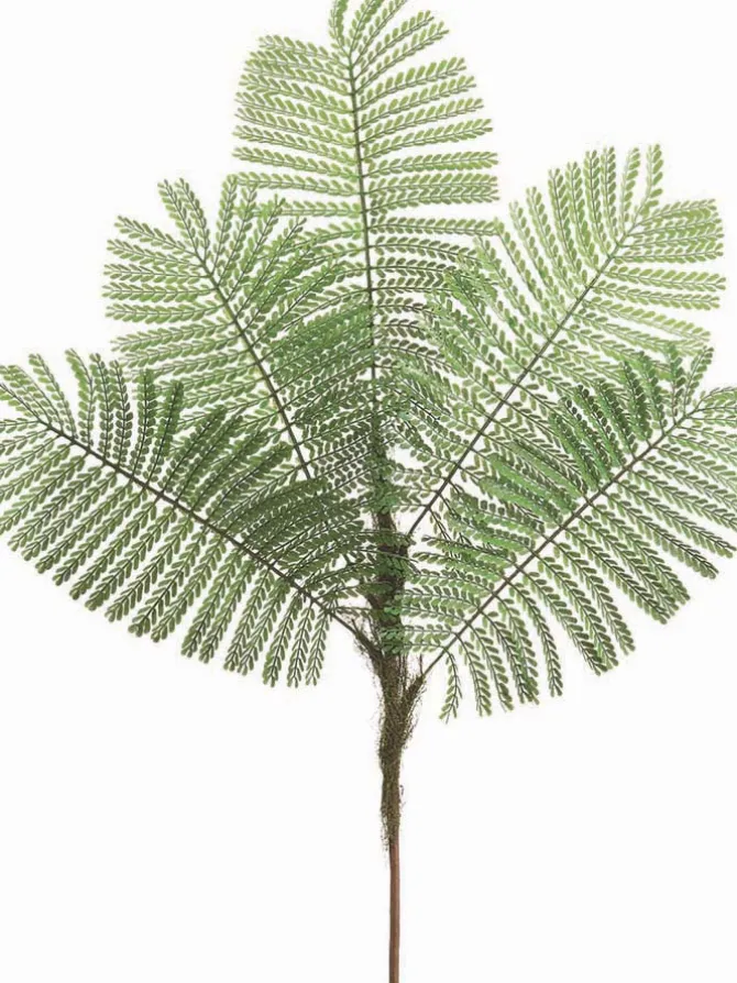 delonix_regia_leaf_spray__0.webp Delonix Regia Leaf Spray 44 in. Green