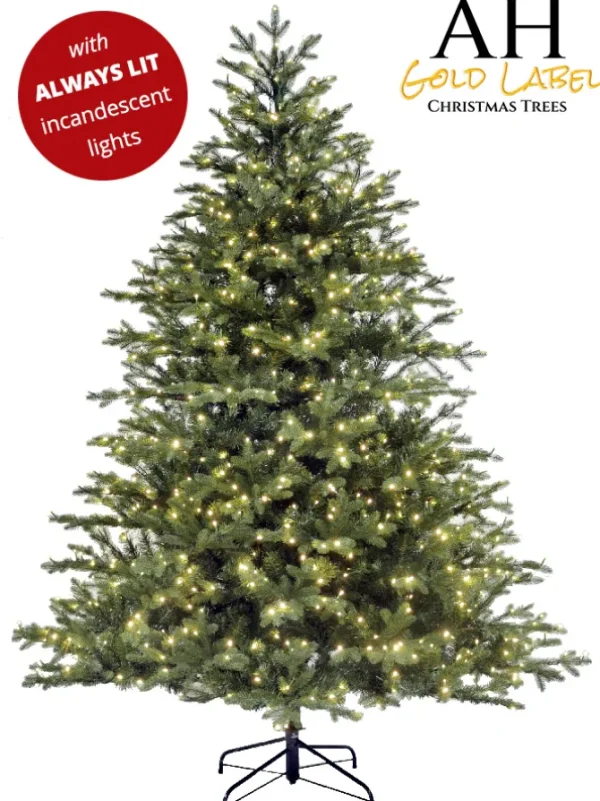 Deluxe Canyon Spruce Always Lit 9 FT