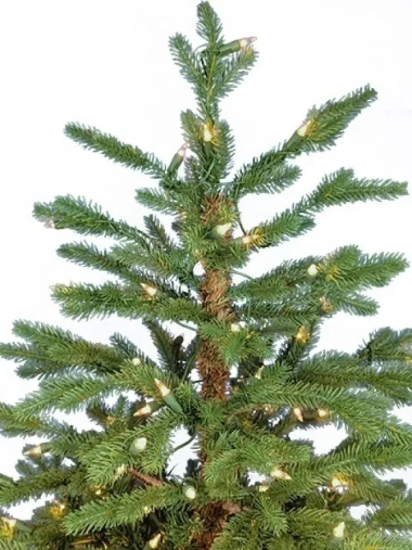 Deluxe Canyon Spruce Always Lit 3 FT