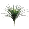 Dracaena Bush 27.5 in. Green / Red