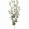Eucalyptus Spray 57 in. Green/ Gray
