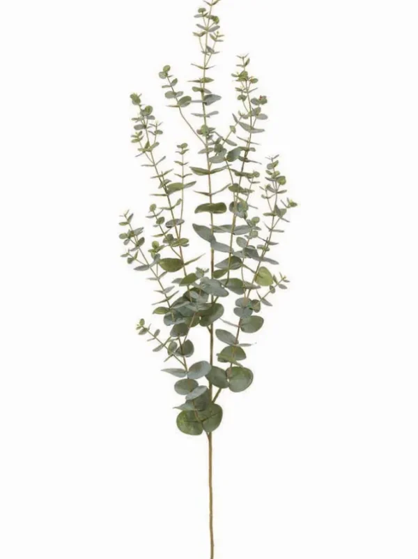 Eucalyptus Spray 57 in. Green/ Gray
