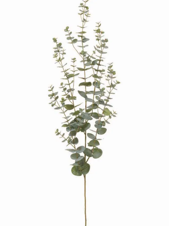 eucalyptus_spray__in_gree_0-1.webp Eucalyptus Spray 57 in. Green/ Gray