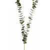 Eucalyptus Spray 61 in. Green / Gray