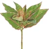 Evergreen Plant 17 in. Green