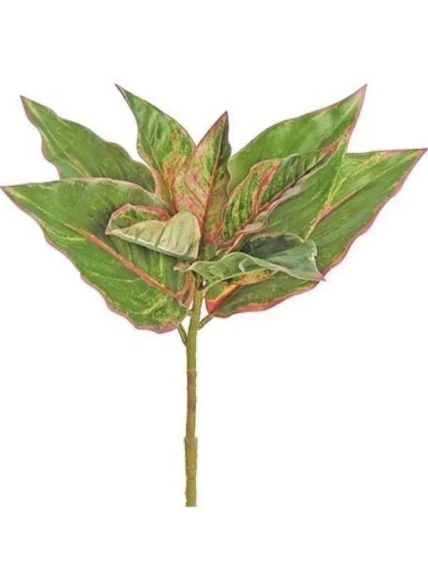 Evergreen Plant 17 in. Green