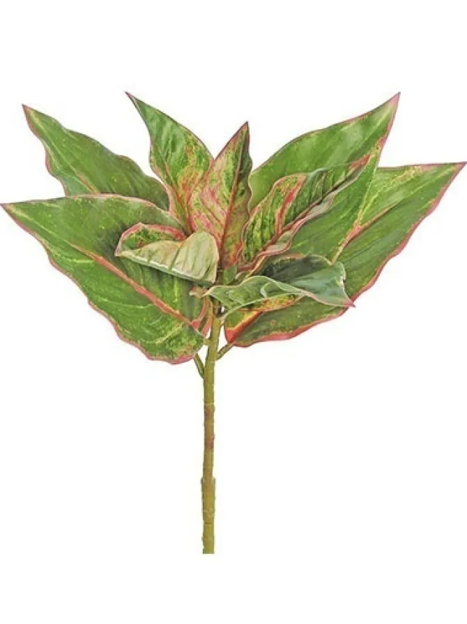 evergreen_plant__in_green_0.webp Evergreen Plant 17 in. Green