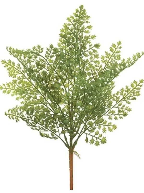 Fern Bush 17 in.